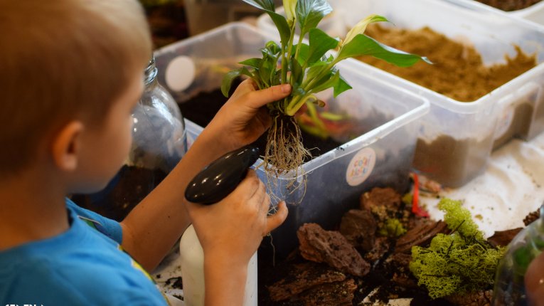 Letnie Zajęcia Edukacyjne