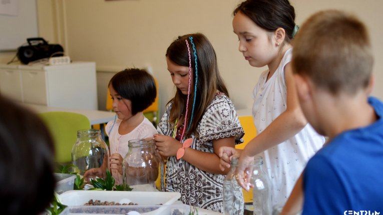 Letnie Zajęcia Edukacyjne